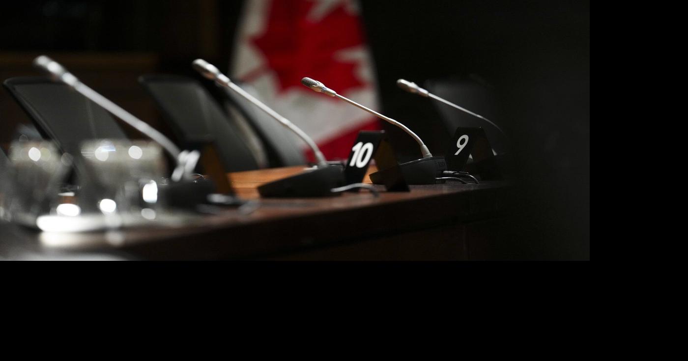 Bill to criminalize forced or coerced sterilization could have unintended consequences: physicians