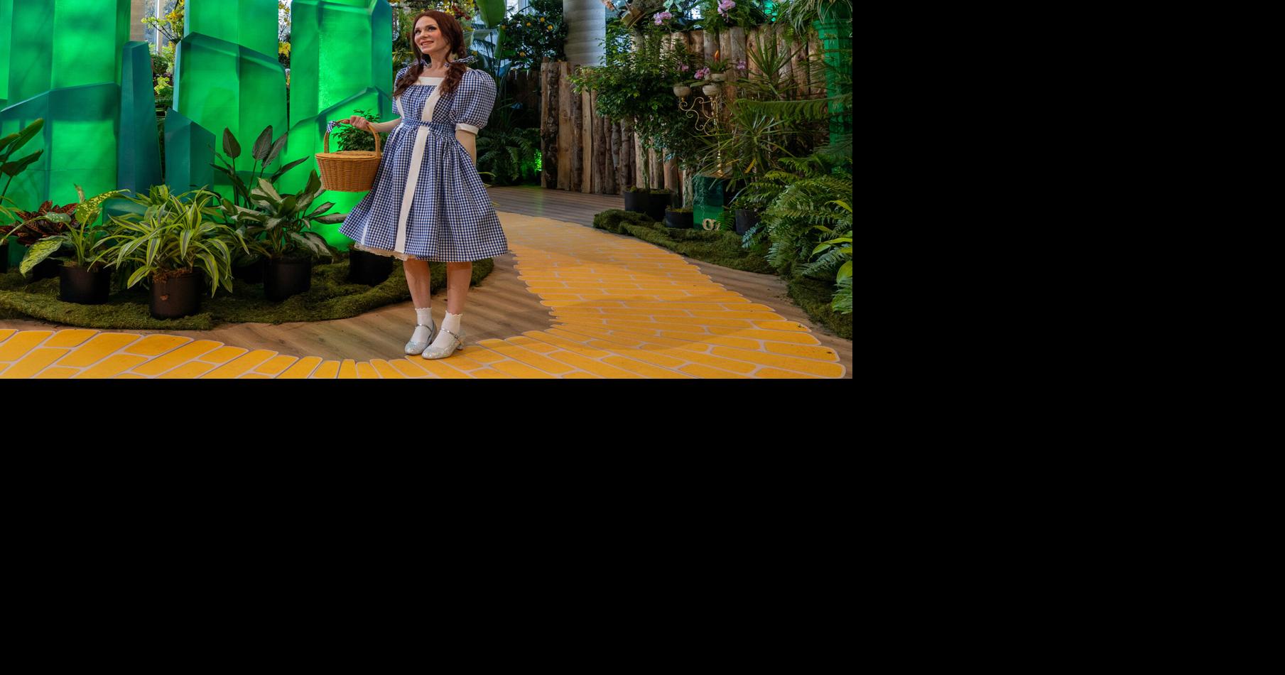 Follow the Yellow Brick Road through Royal Botanical Gardens this winter