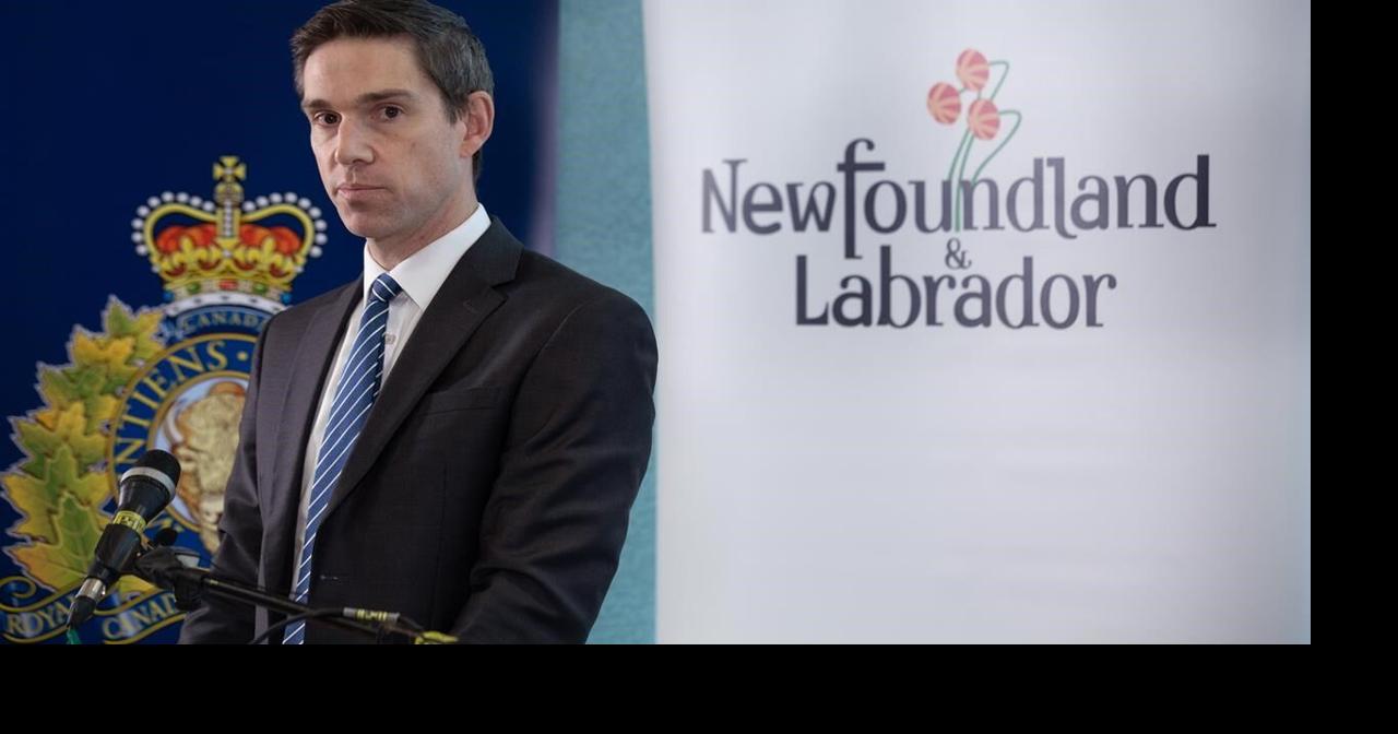 N.L. minister seeks Criminal Code changes he says will protect domestic ...
