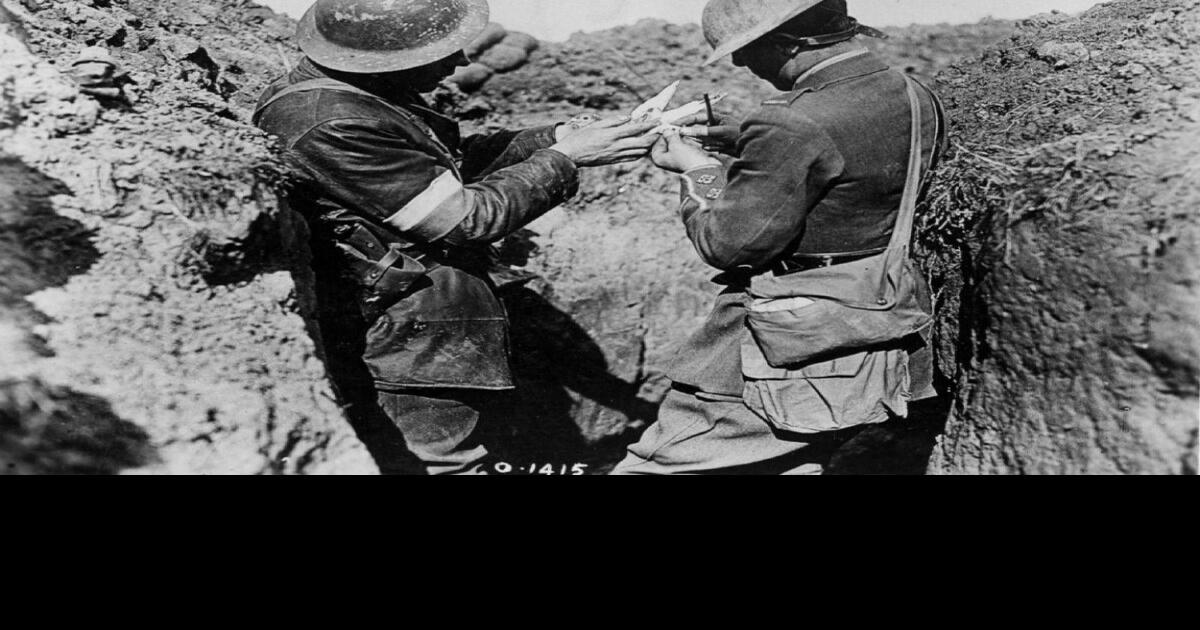 The quantum mechanics of bird navigation