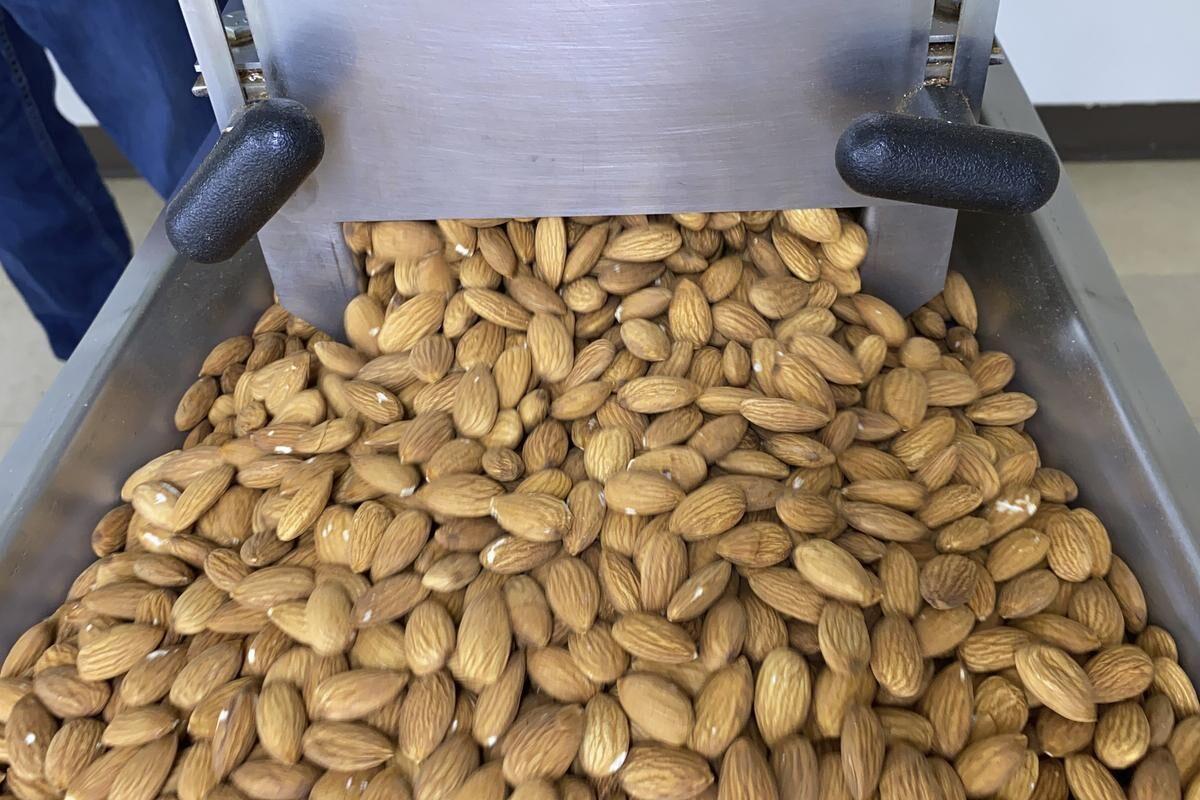 Nuts Do Not Lead to Weight Gain