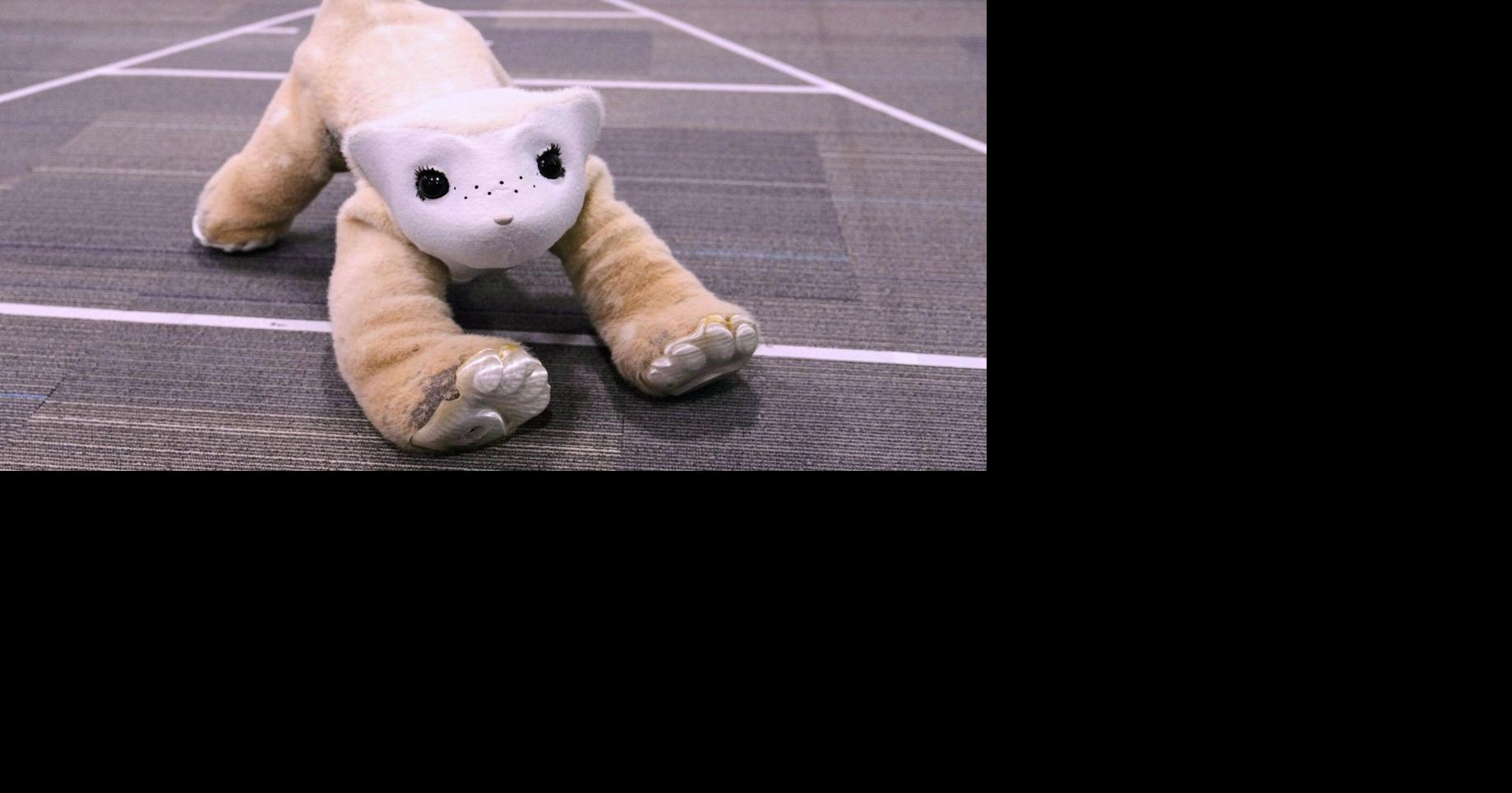 Roomba pioneer aims to crack the household market again with an AI-powered pet robot