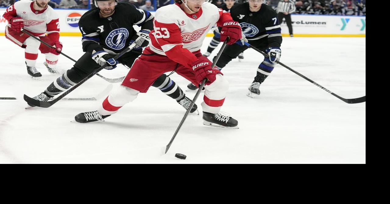 Lightning's Emil Lilleberg gets a 2-game suspension for interference penalty