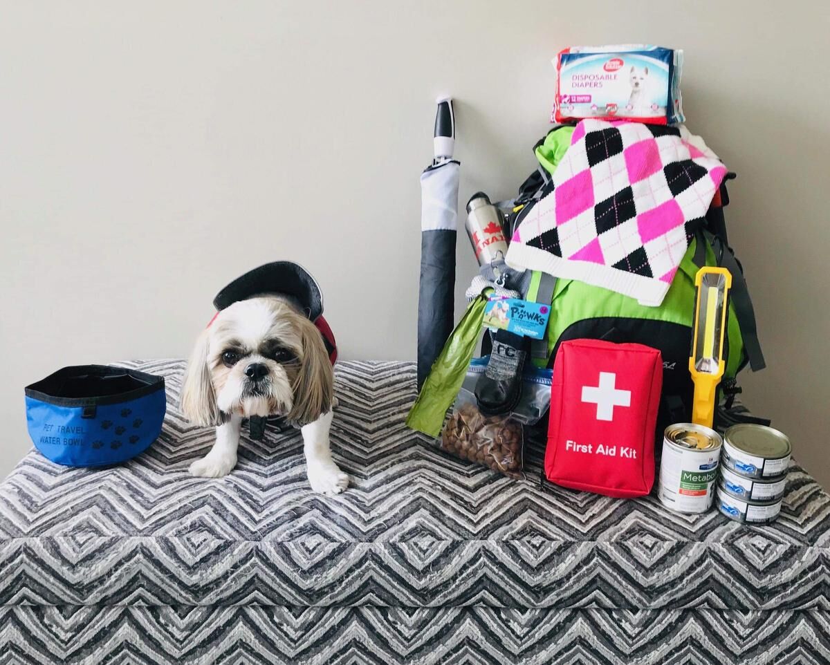 Dog clearance emergency kit