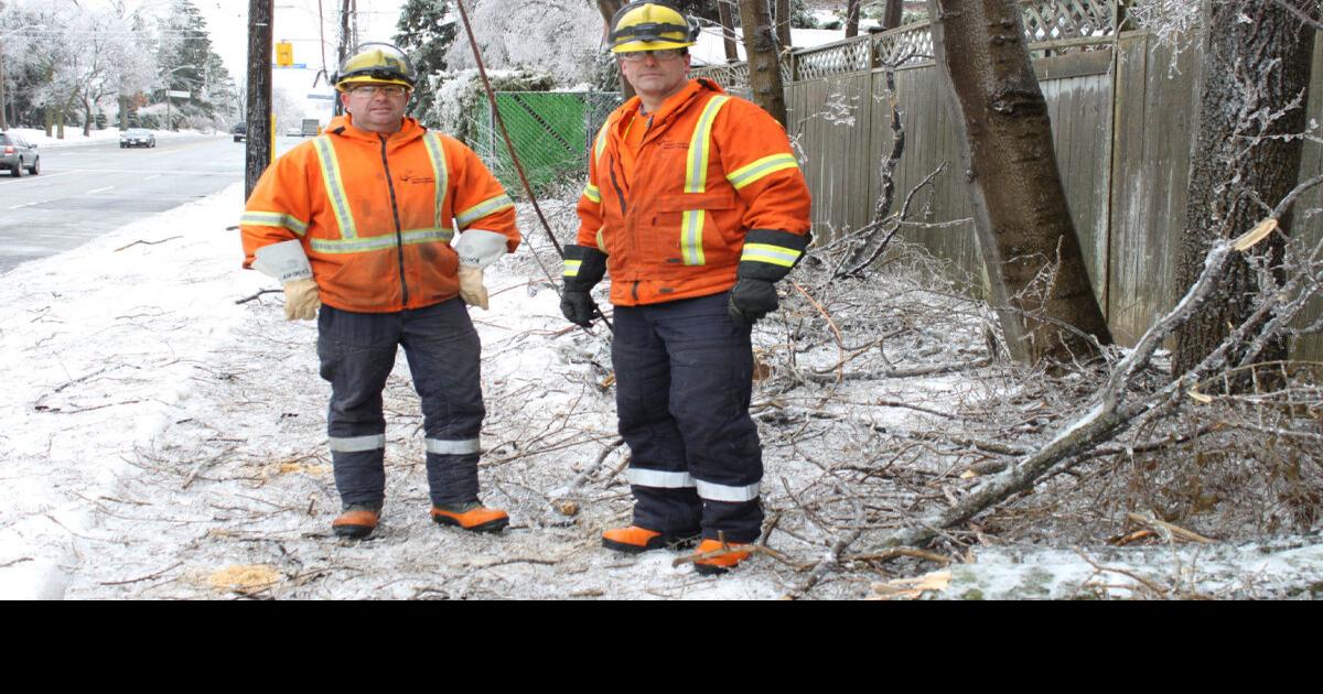Toronto Hydro forestry crews scramble to clear fallen trees