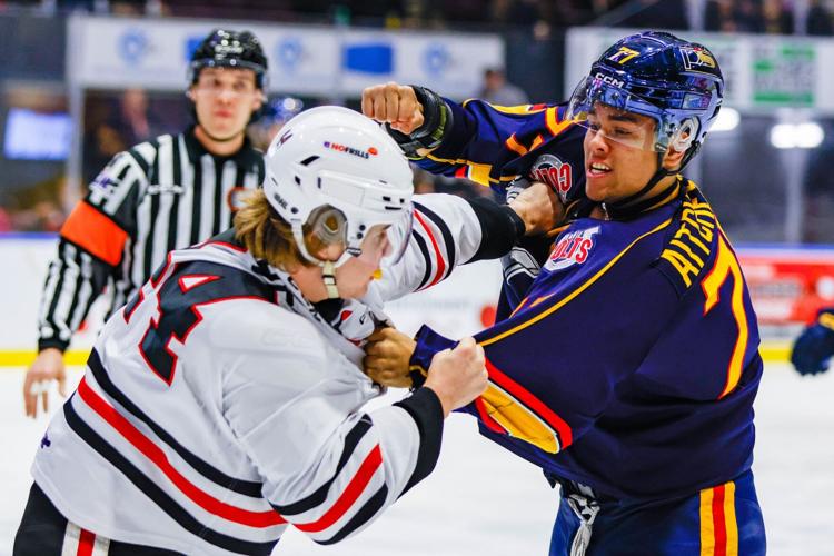 aitcheson-fight.jpg