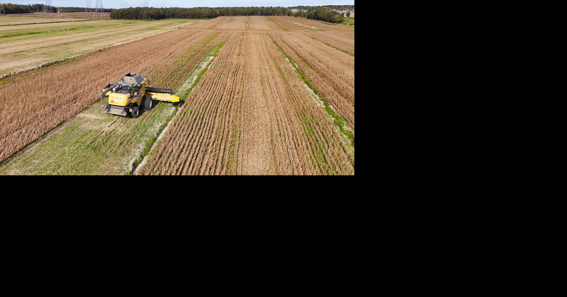 Researcher who became sick after pesticide exposure asks government to follow science