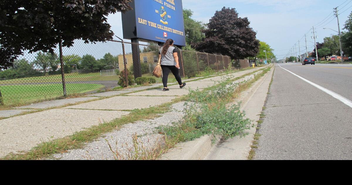 Weeds along Cosburn Ave need to be whacked: The Fixer