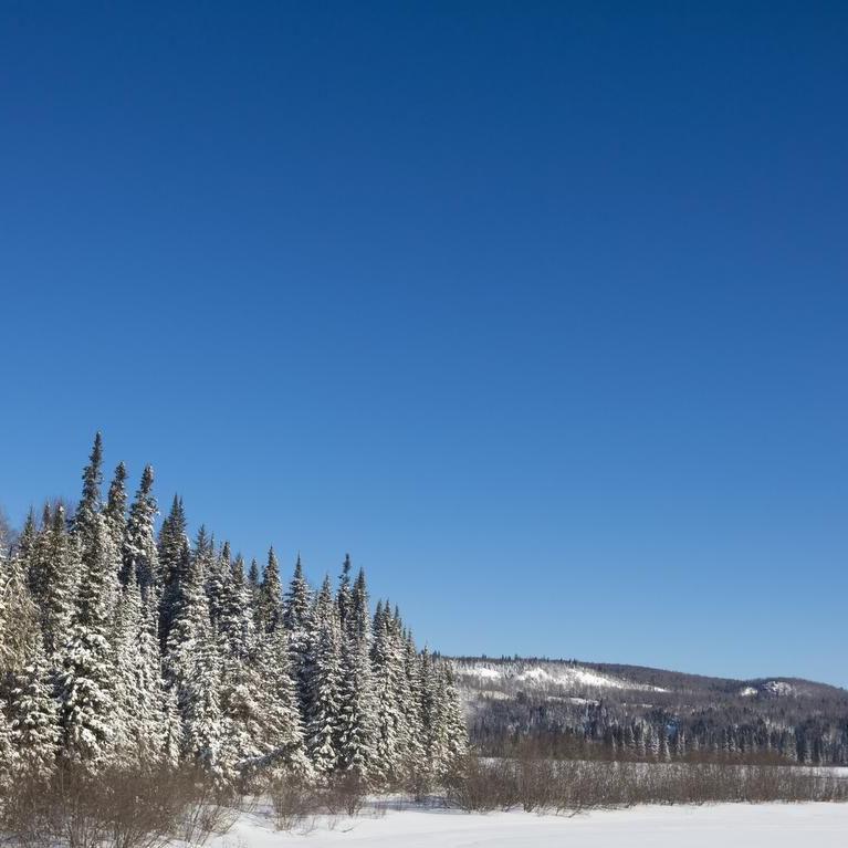 5 unexpected Canadian national parks to visit this winter