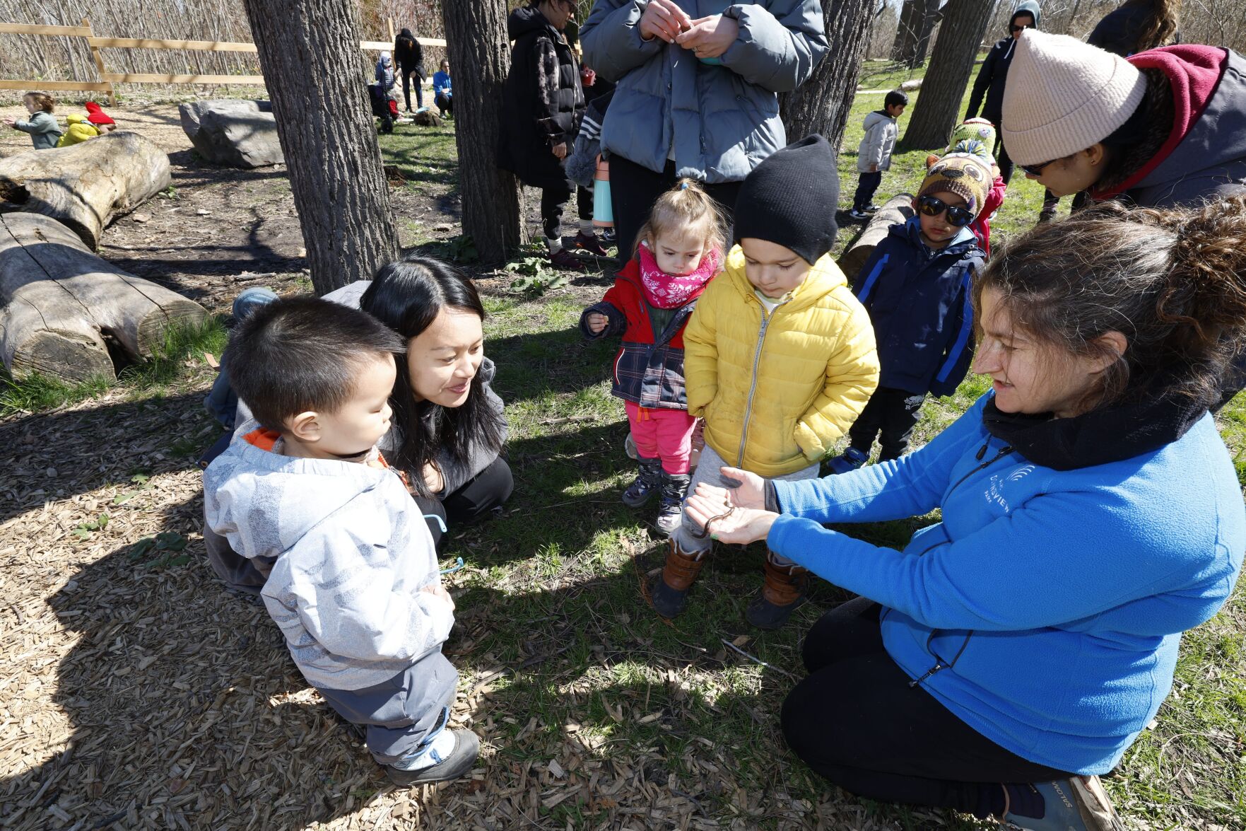 What to do in Toronto and the GTA to mark Earth Day