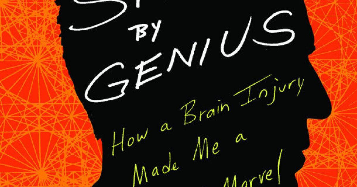 How a Brain Injury Made Me a Mathematical Marvel by Jason Padgett: review