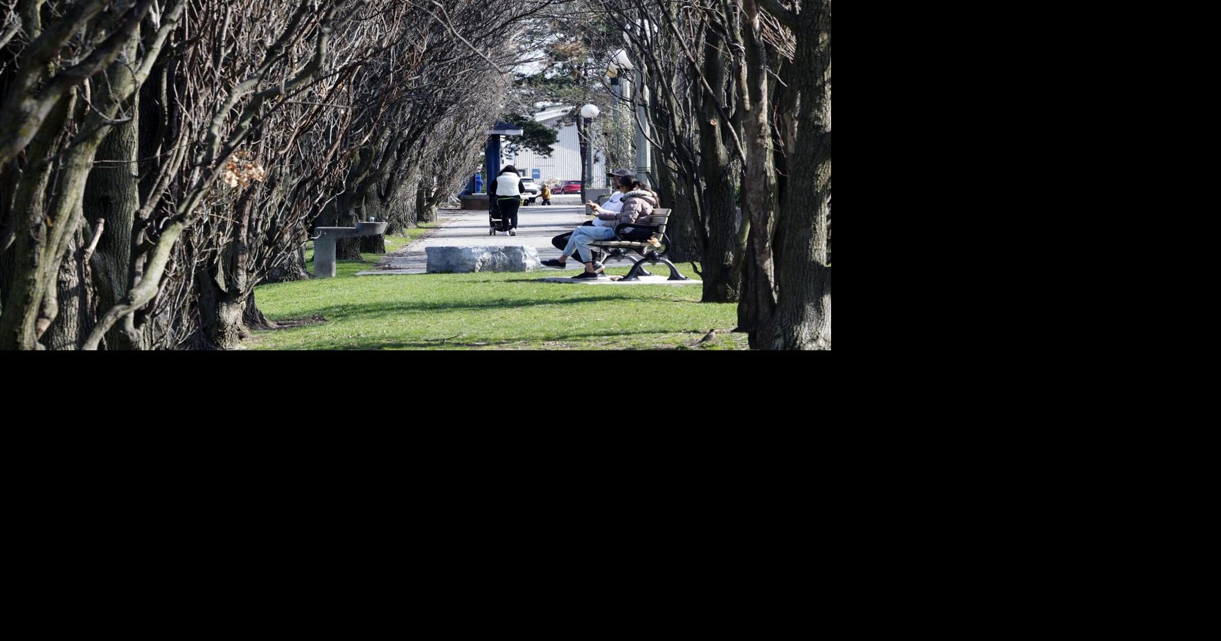This little Toronto park could get paved over for a Billy Bishop airport expansion. Here's what locals worry would be lost
