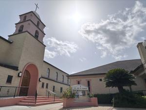 ICE releases a Texas nun intercepted walking to church dressed in her habit