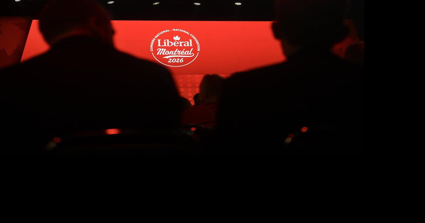 Federal Liberals choose new national director