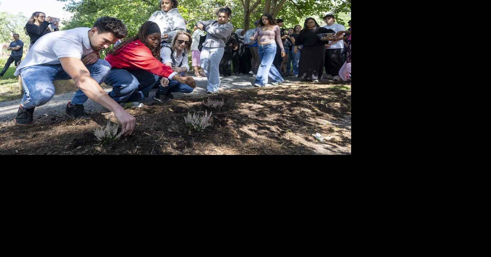 https://bloximages.chicago2.vip.townnews.com/thestar.com/content/tncms/assets/v3/editorial/3/ce/3ce222aa-c4d9-5677-bab3-0794b8f92327/6aa456cbcbf06.image.jpg?crop=1678%2C881%2C0%2C99&resize=1200%2C630&order=crop%2Cresize