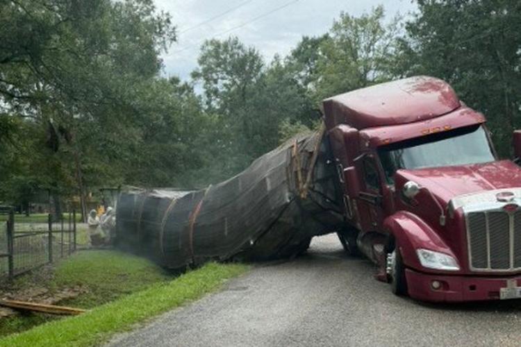 Millions of honeybees escape into a rural Texas neighborhood after a  semitrailer crash