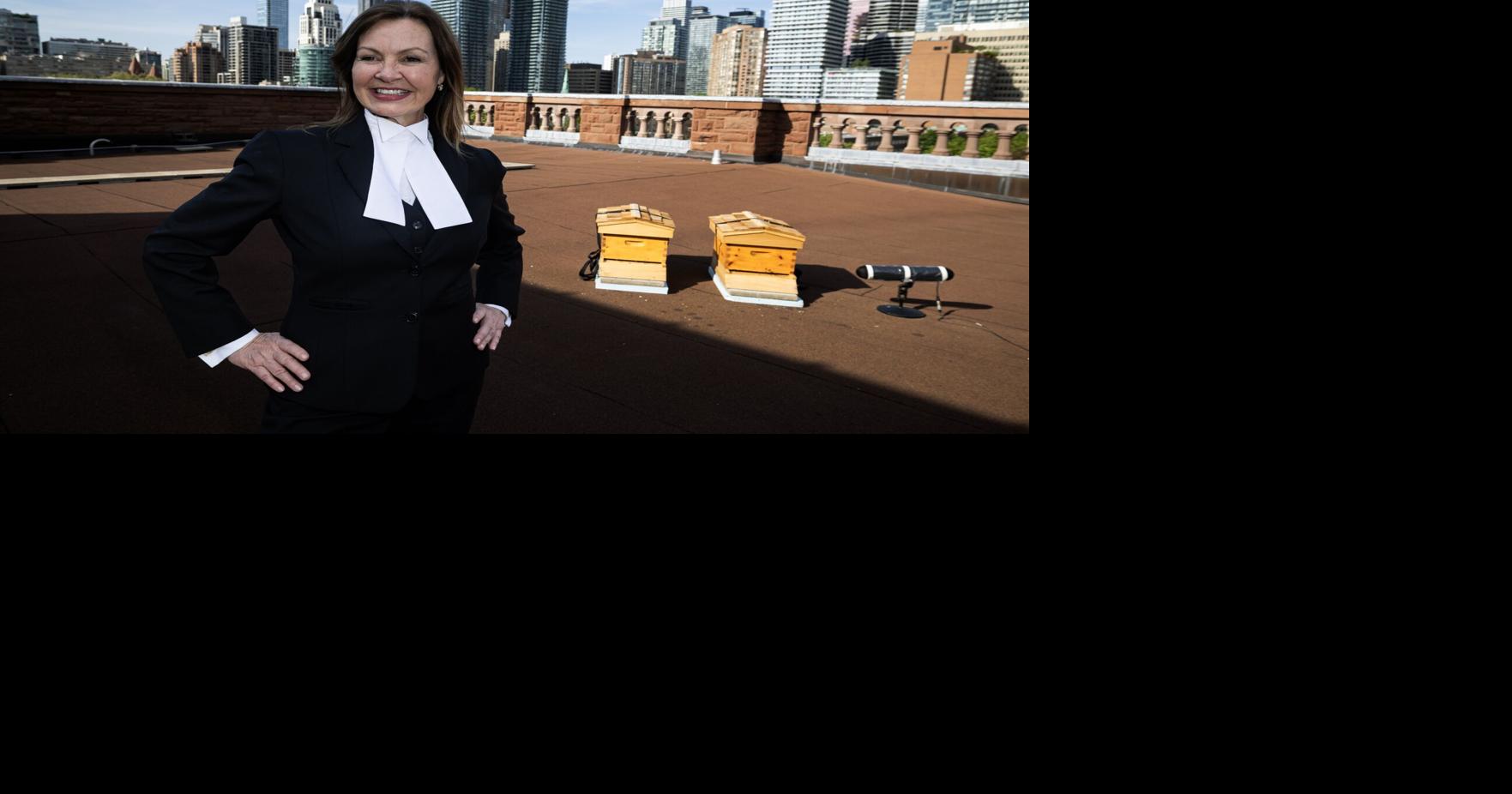 Honigbienen nisten sich auf dem Dach des Queen’s Park ein