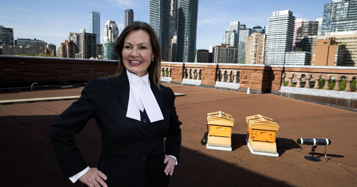 Honigbienen nisten sich auf dem Dach des Queen’s Park ein