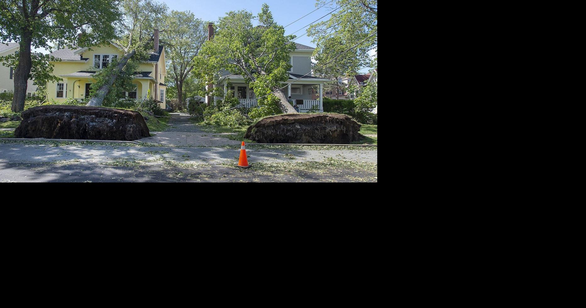 Consumers could save billions of dollars with more control of data: Comp Bureau