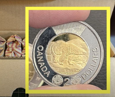 Fake toonie