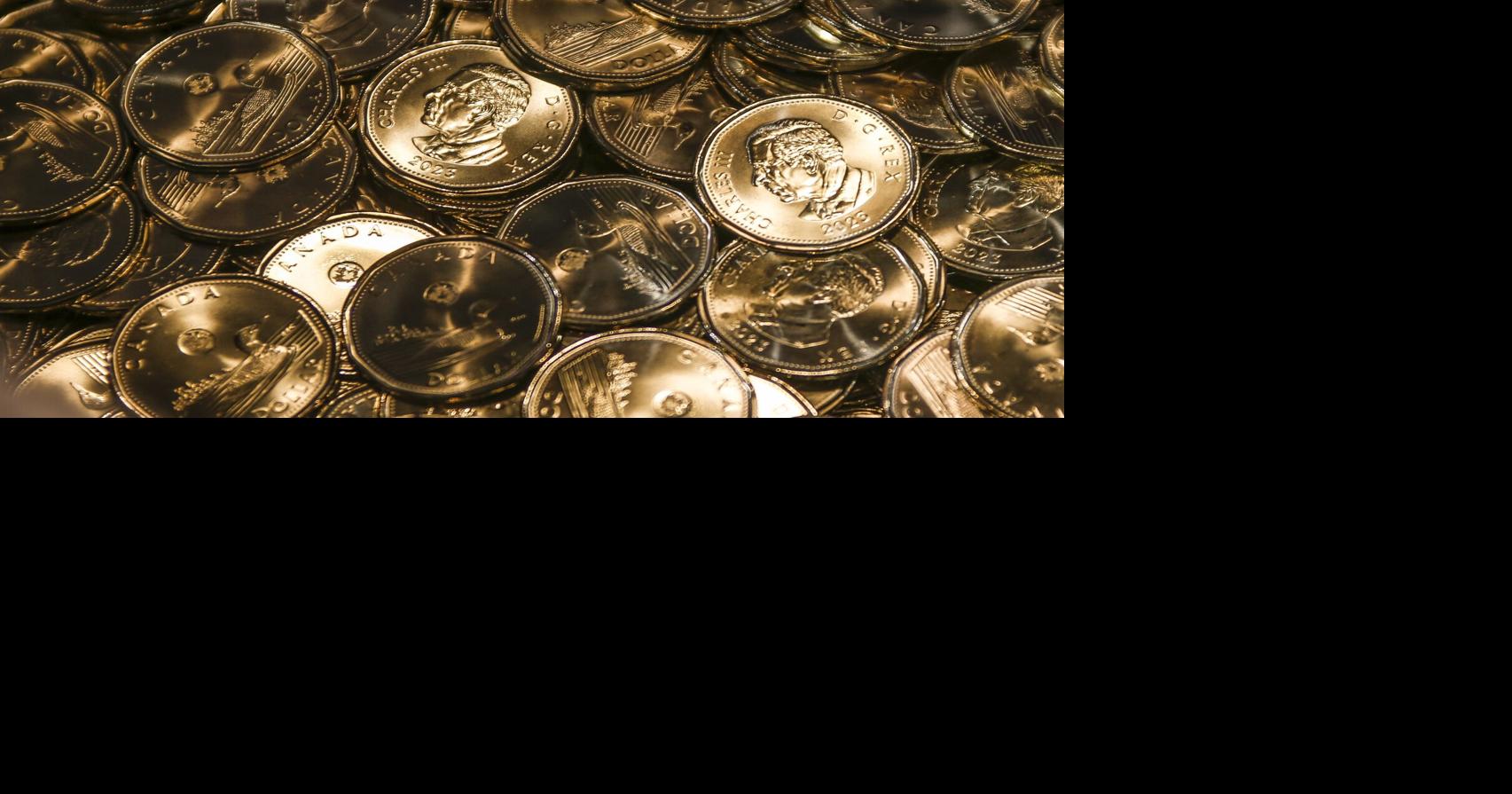 Loonie could rise in 2026, but that's no sure bet: experts