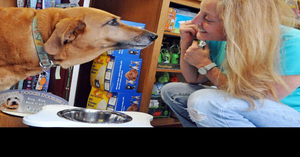 PetSmart and Petco chains to pull Chinesemade dog treats from shelves