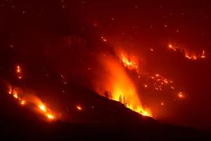 What to know about the Bald Range fire and B.C.'s wildfire emergency
