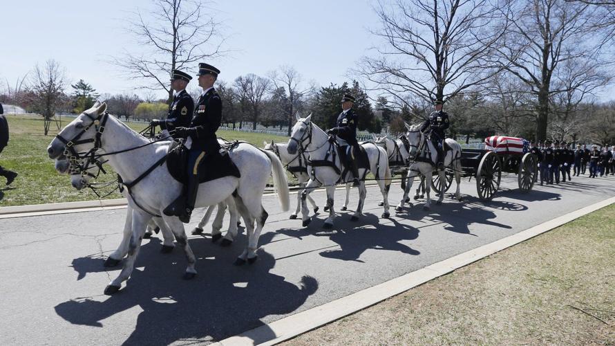 Army to begin limited use of horsedrawn caissons for Arlington