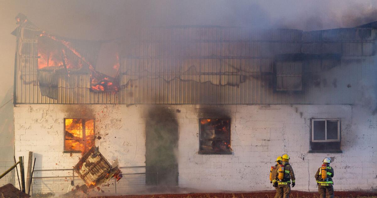Bruce County barn fire kills 70 cows
