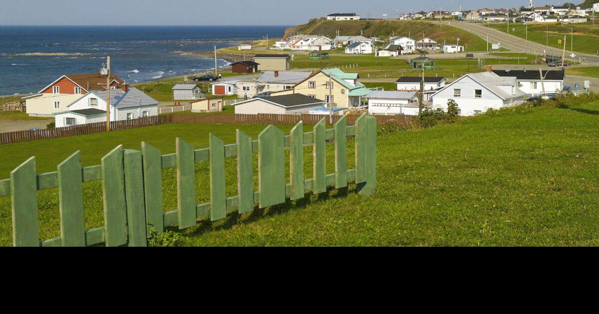 Canada travel wildlife and predinosaur fossils make Quebec’s Gaspe a