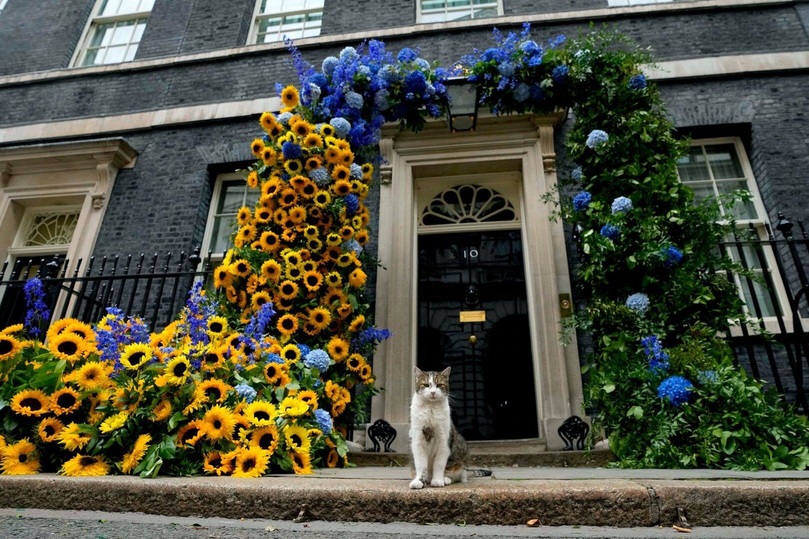 ‘First feline’ Larry marks 15 years as Britain’s political top cat
