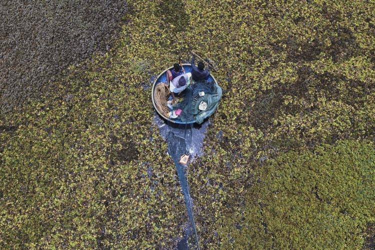 As climate risks grow, India's Bengaluru is trying to save its vanishing lakes