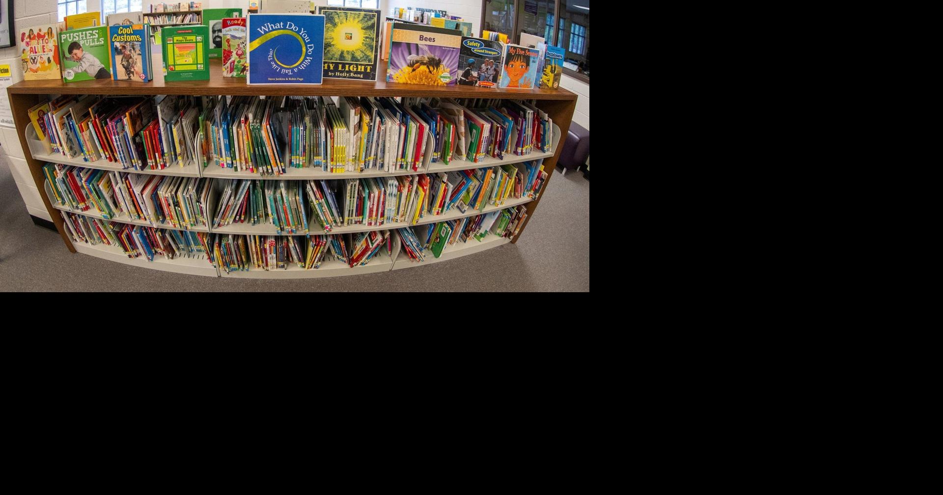 From book bans to basement makeovers: 10 win I Love My Librarian Award for making a difference