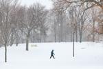 Winter storm recap: Toronto remains under yellow weather warning for freezing rain; 80 collisions reported amid snow; TTC buses detouring