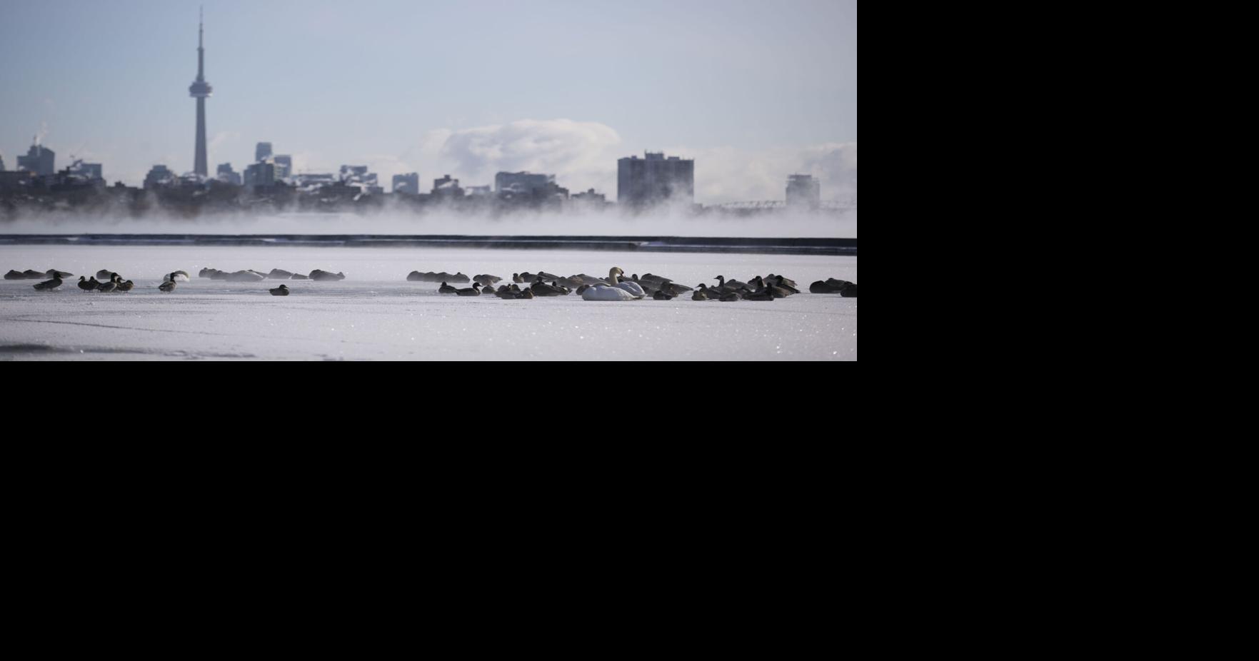 Toronto is colder today than the coldest city in Canada