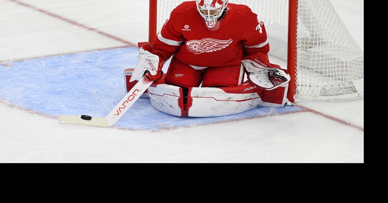 Steve Yzerman expecting new coach Todd McLellan to get Red Wings back on track