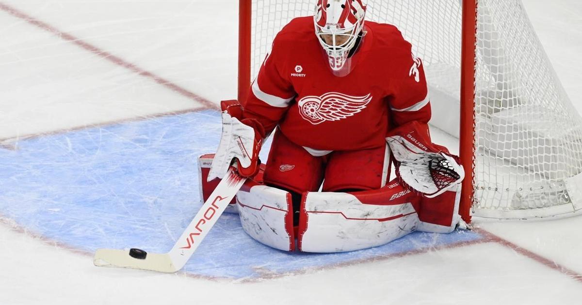 Steve Yzerman expecting new coach Todd McLellan to get Red Wings back on track