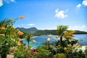 ResizedAdobeStock_202288737-Grande Anse-Martinique