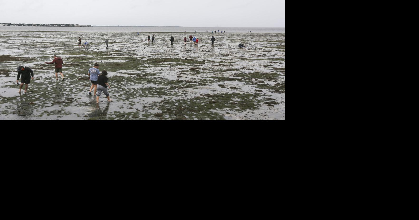 Hurricane Ian: Water in Tampa Bay drops 5 feet in reverse storm surge