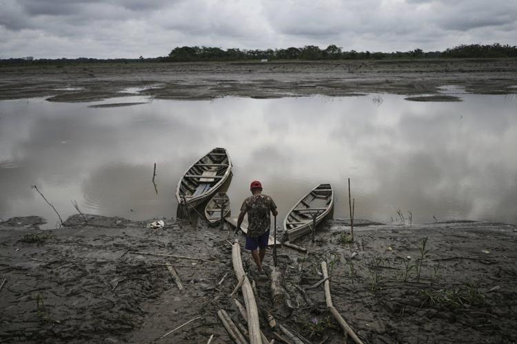 Well-preserved Amazon rainforest on Indigenous lands can protect people from diseases, study finds