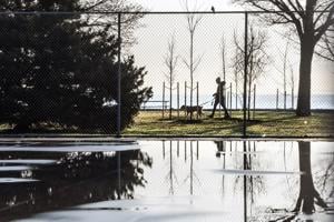 Toronto to see rain and springlike temperatures this week