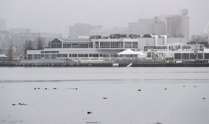 polson-pier-from-island