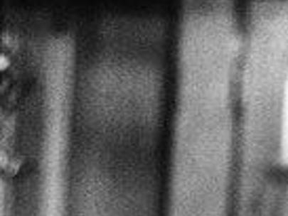 suzanne pleshette tom poston