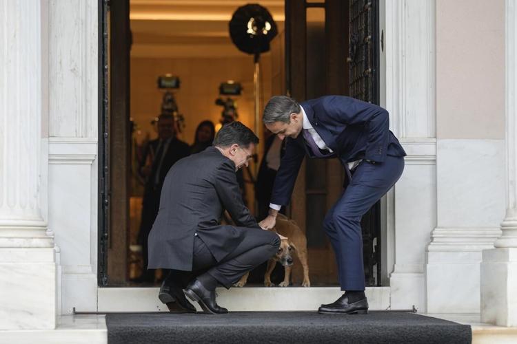 New NATO chief Rutte says alliance ‘needs to go further’ in support for ...