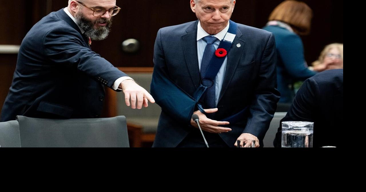 Former Liberal MP warns of tough times ahead with U.S. over NATO ...