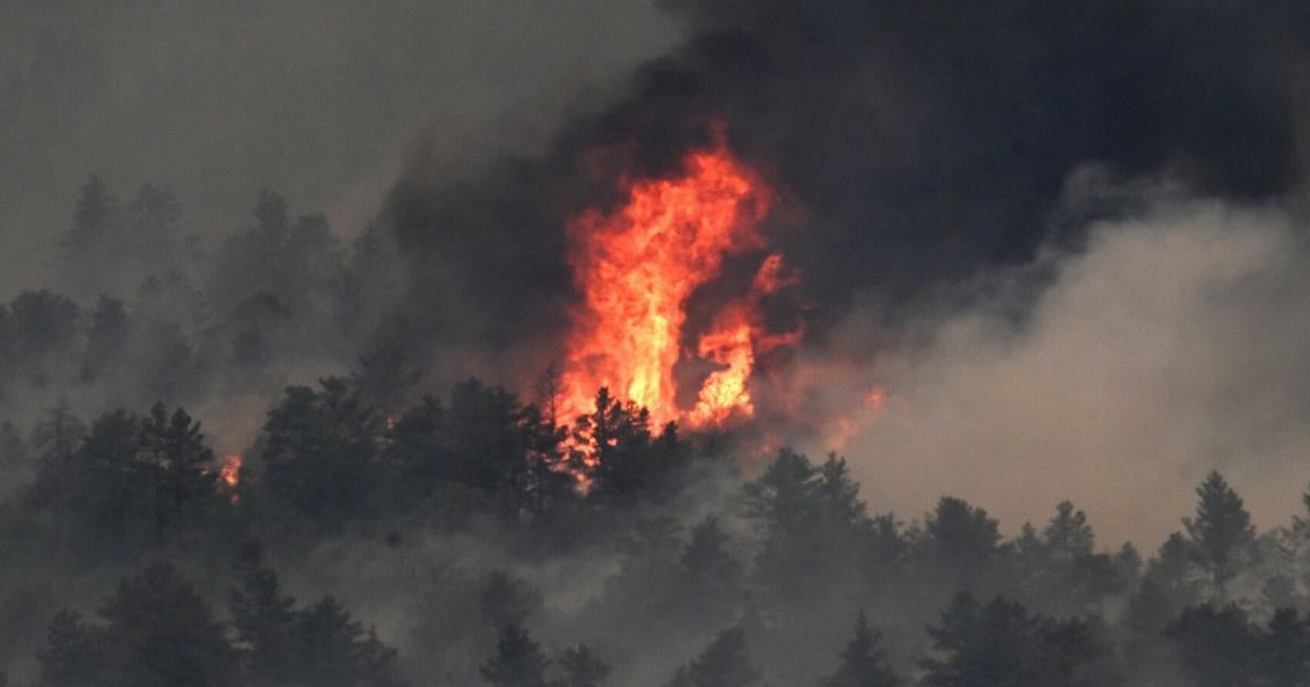 Stephen Maher: American response to Canadian wildfires just proves their addiction to this one thing