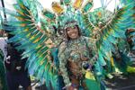 Parade green feathers.JPG