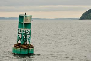 Canadian buoy drifts across Atlantic, washes up on shore of Irish island