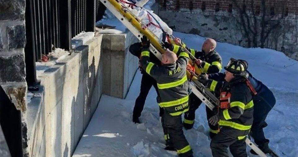 Firefighters rescue swan stuck in frozen Connecticut river