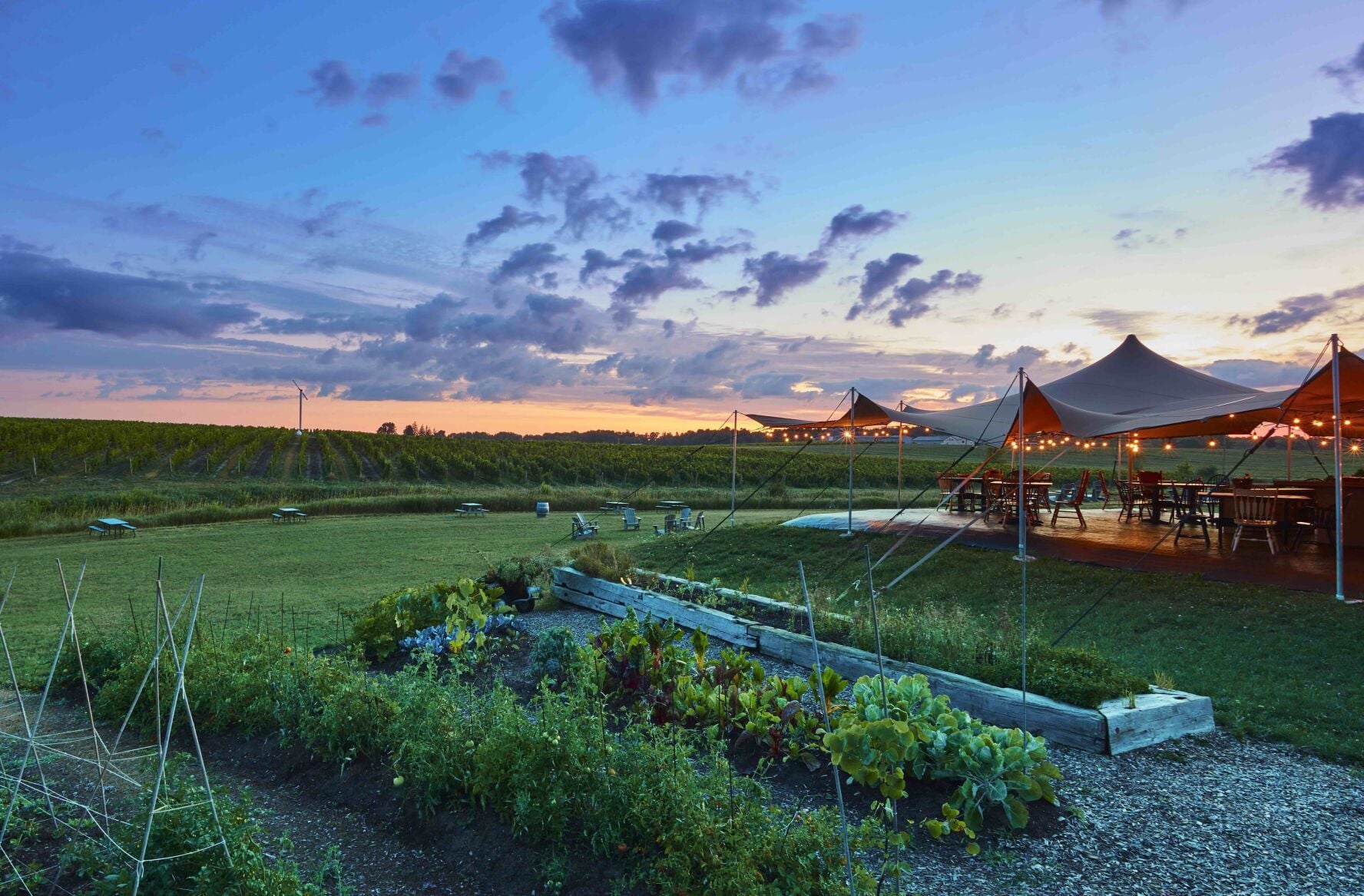 At these Niagara wineries, world-class wines meet top-notch dining, panoramic views